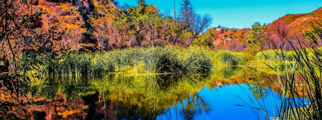 Malibu Creek State Park Campground