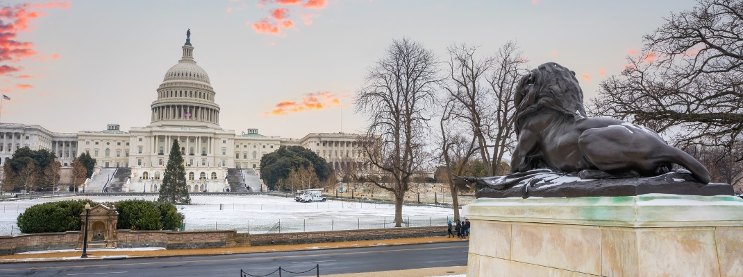 Winter Washington DC