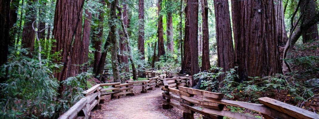 Pfeiffer Big Sur State Park Campground