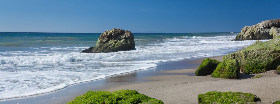 Canyon Campground in Leo Carrillo State Park