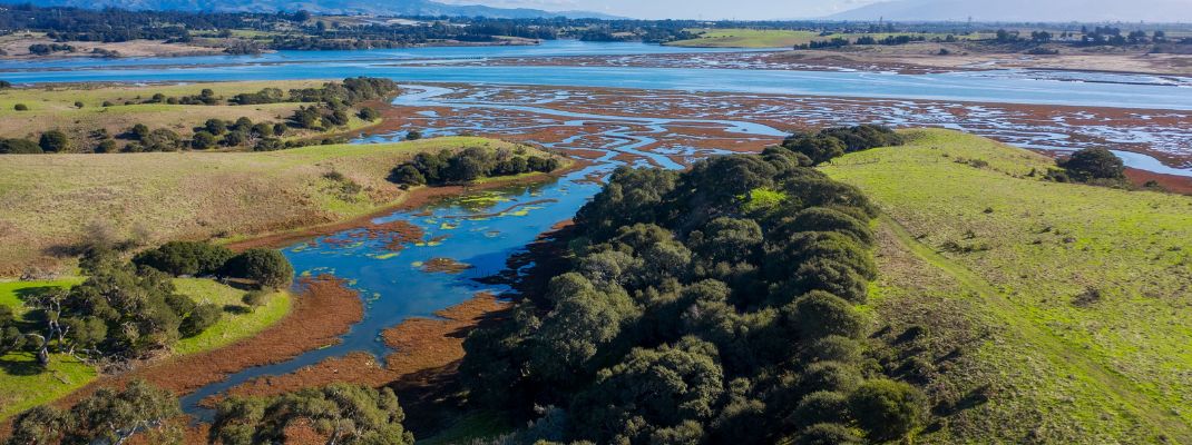 Moss Landing KOA Express