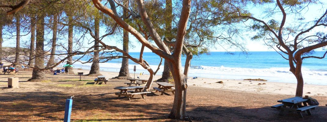 Refugio State Beach Campground