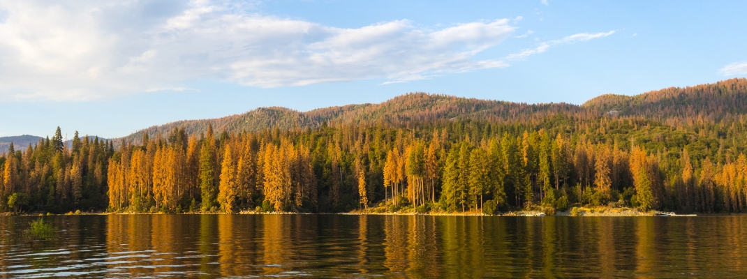 Bass Lake California