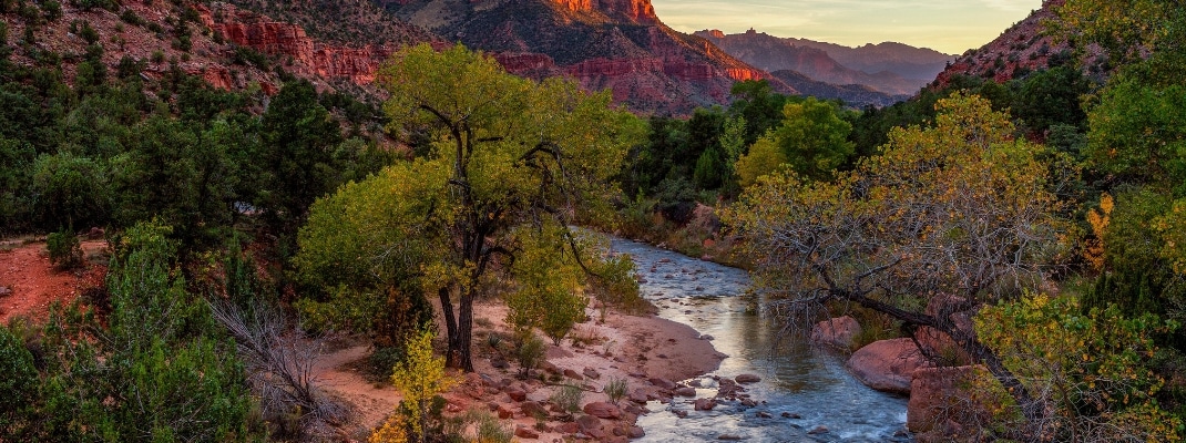 View of the Watchman mountain and the virgin river in Zion National Park located in the Southwestern United States, near Springdale, Utah, Arizona
