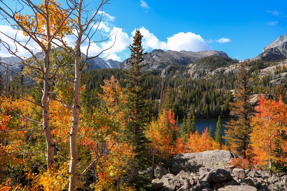 Best Rocky Mountain National Park RV Camping & Campgrounds