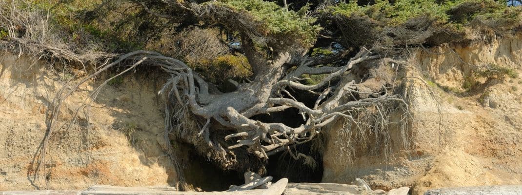 Kalaloch Campground