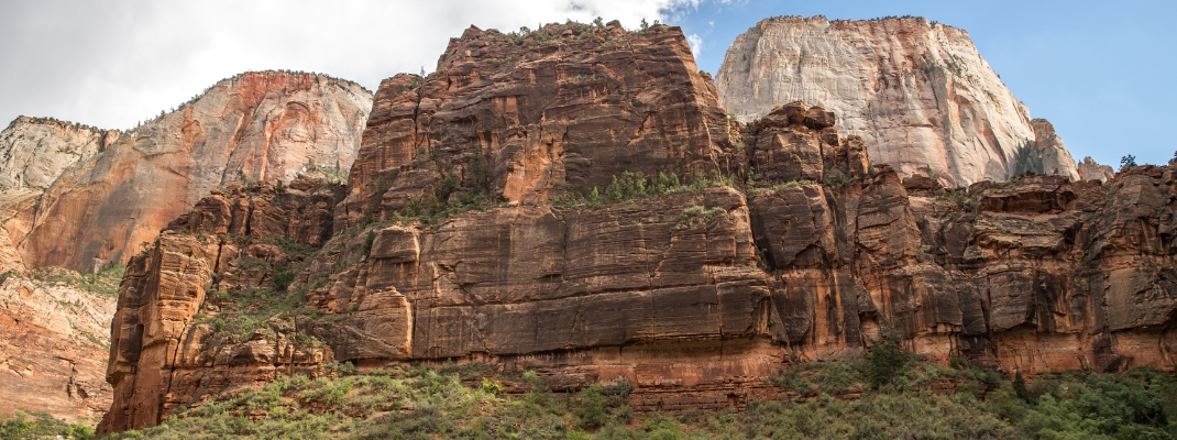 Landscape in Zion National Park