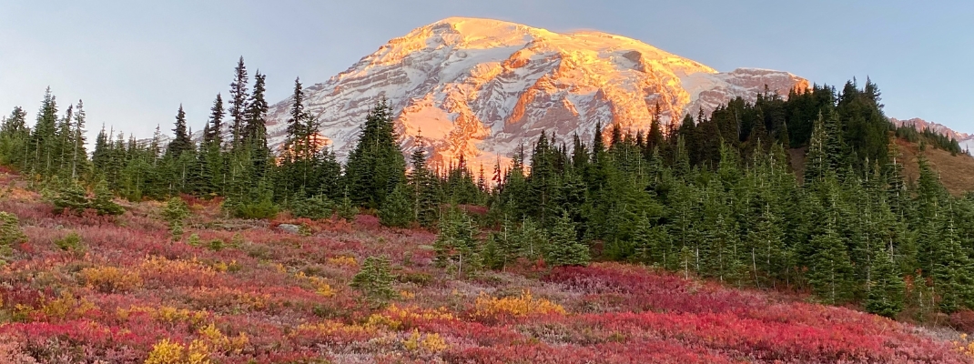 Mount Rainier with fall colors