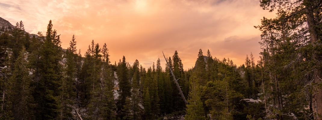 Pines Campgrounds Yosemite