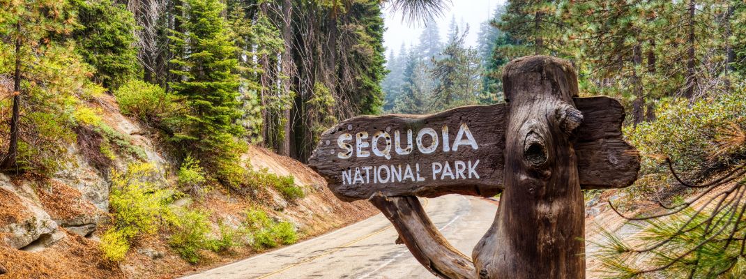 Sequoia RV Ranch