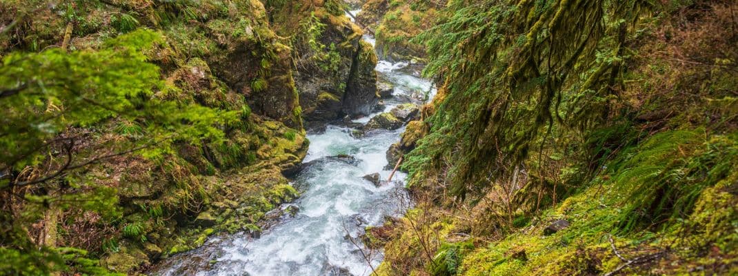 Sol Duc Campground