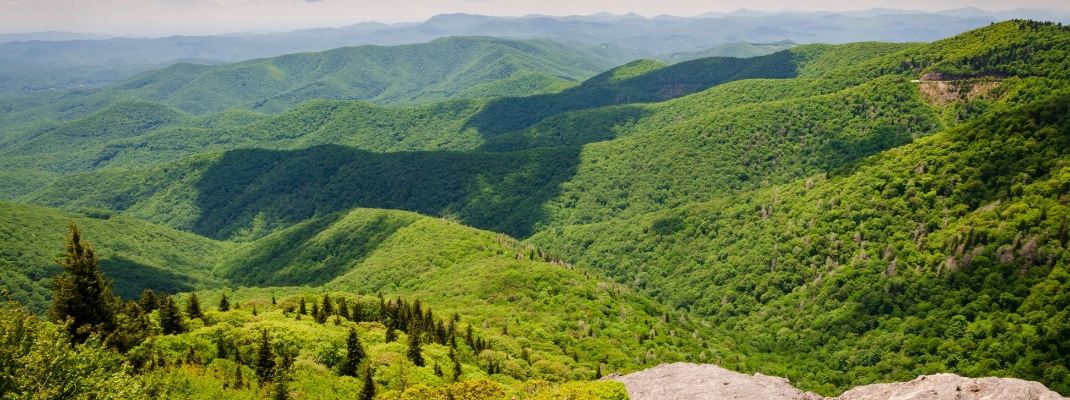 The Blue Ridge Parkway