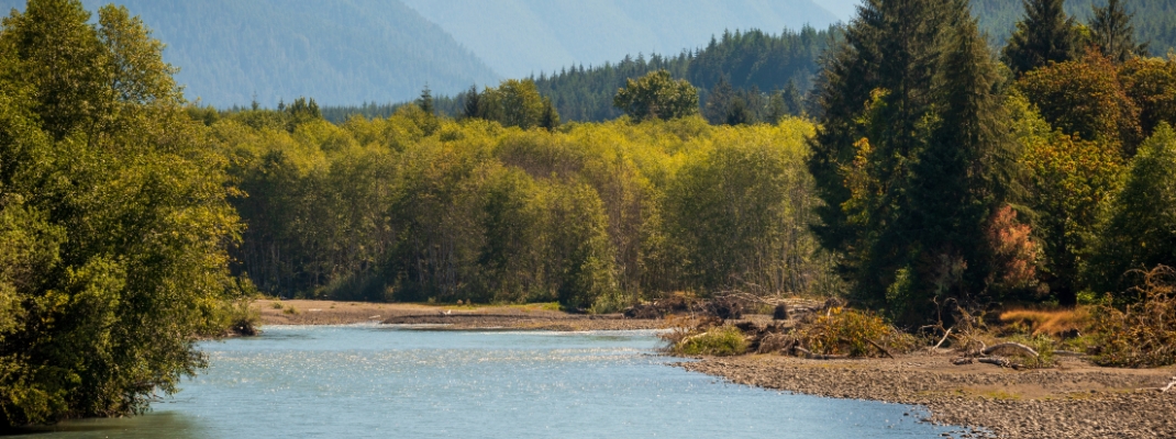 The Elwha River in Olympic National Park, Washington State, USA 