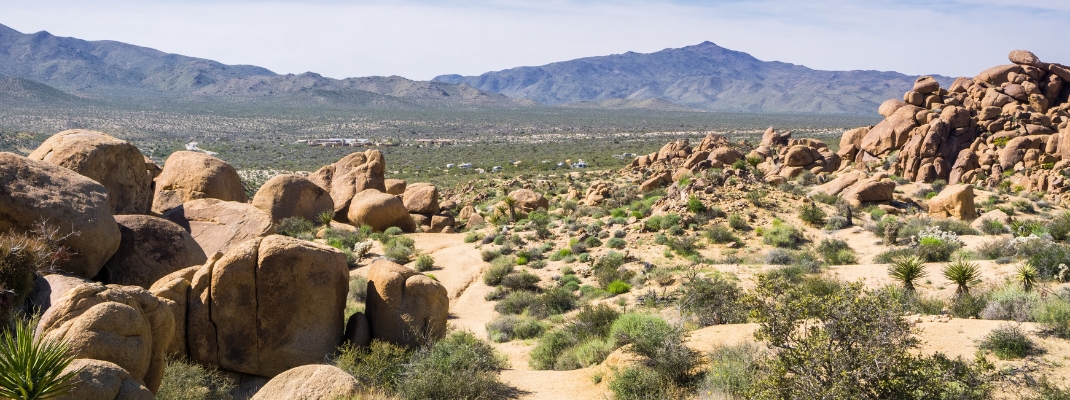 View towards Cottonwood Visitor Center