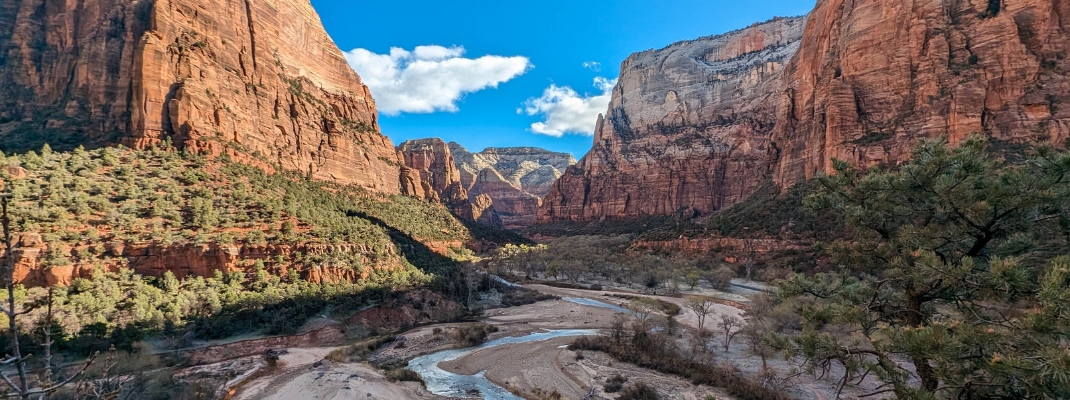 Zion River