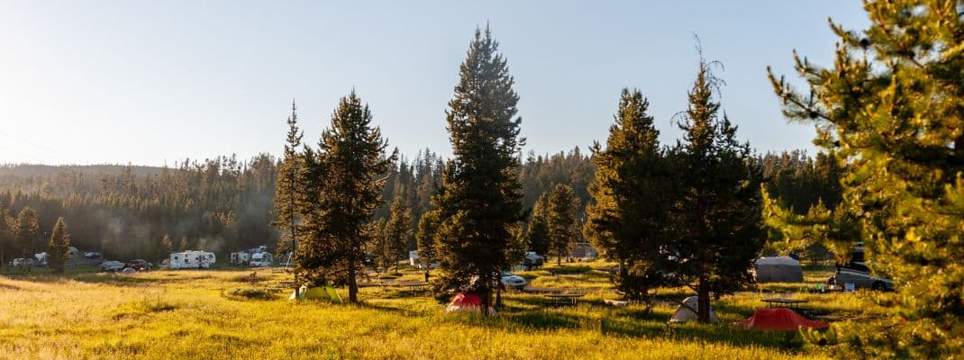 Bridge Bay Campground