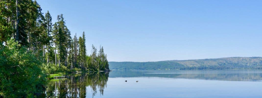 Lewis Lake Campground