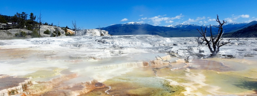 Mammoth Hot Spring, Yellowstone