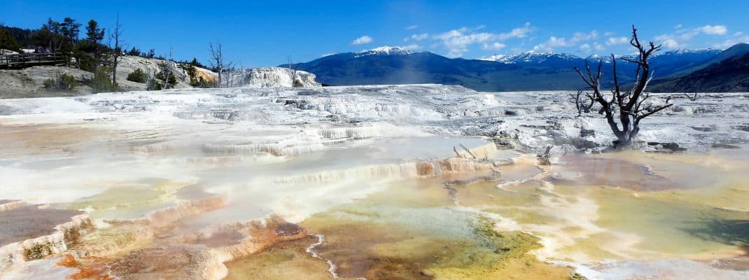 Mammoth Hot Springs Campground