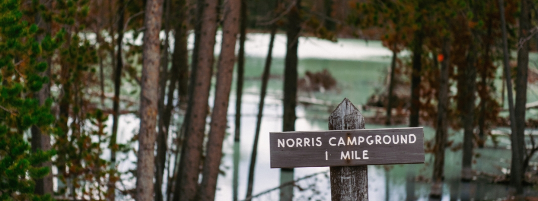 Norris Campground in Yellowstone