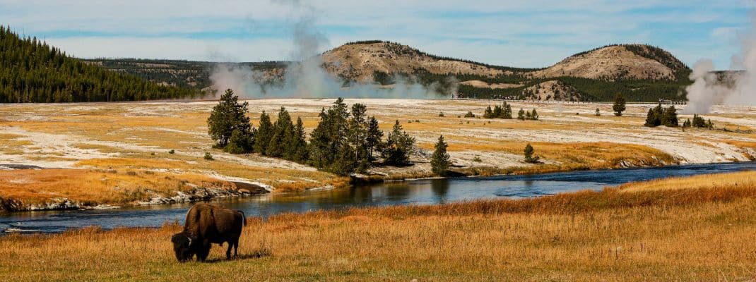 Yellowstone Campgrounds