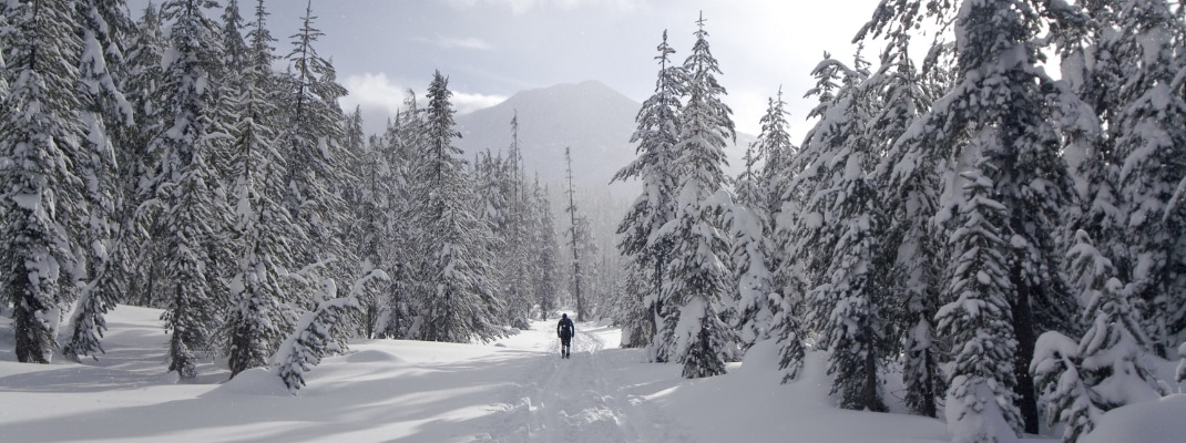 Cross country skiing near Mount Bachelor in Oregon's central cascades. 