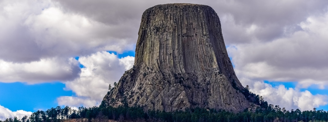 Devils Tower with Cattle
