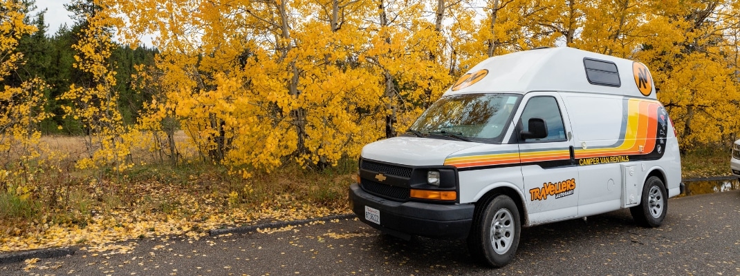 Campervan surrounded by trees in fall, USA