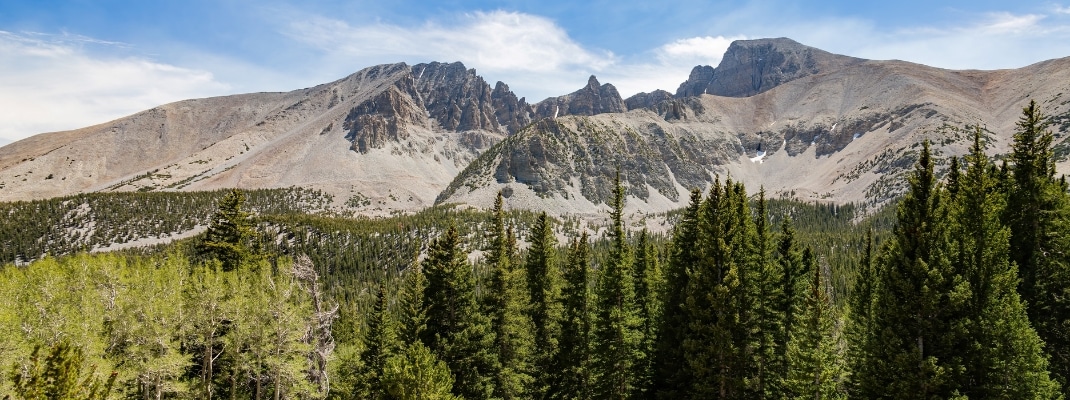Summit Trail at Great Basin National Park, Nevada
