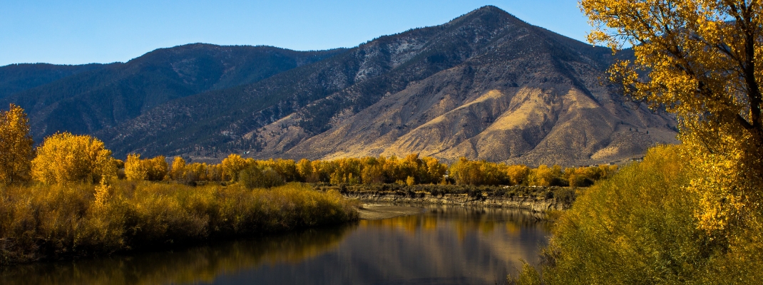 Fall colors reflection in Carson River