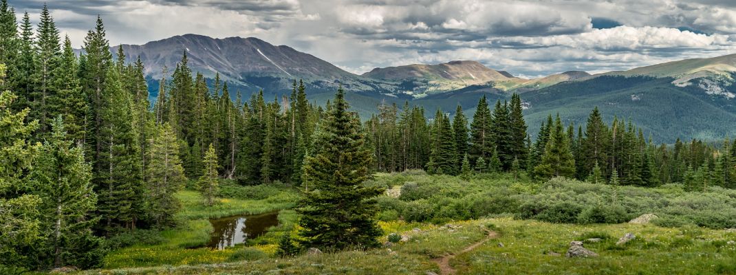 Wheeler Peak Campground