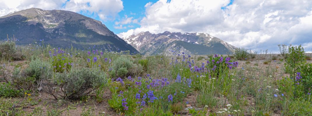 Prospector Campground