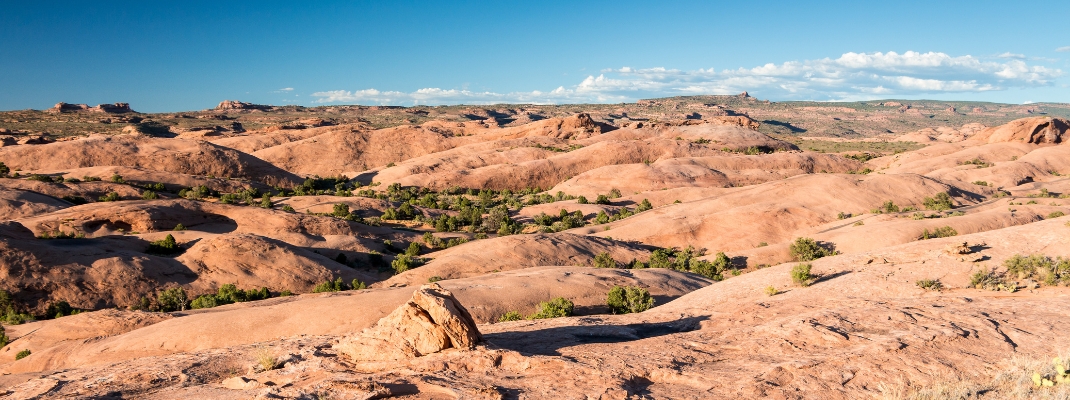 Sand Flat Recreation Area, near Moab