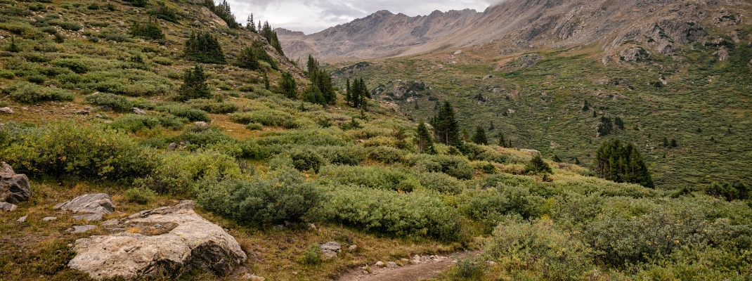 Hiking the Lost Man Loop trail