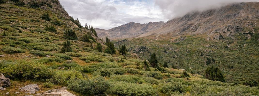 Lost Man Campground, Aspen