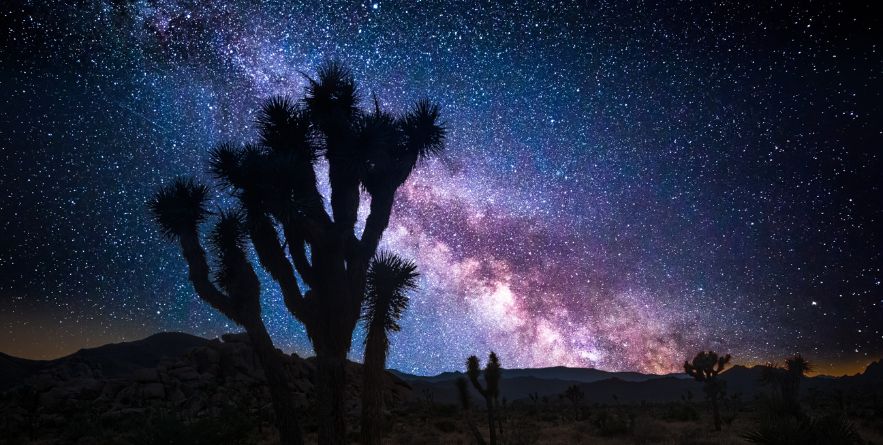 Joshua Tree National Park