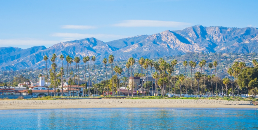 Palm trees at Santa Barbara