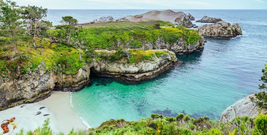 Point Lobos State Natural Reserve