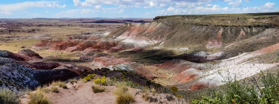 Petrified Forest National Park