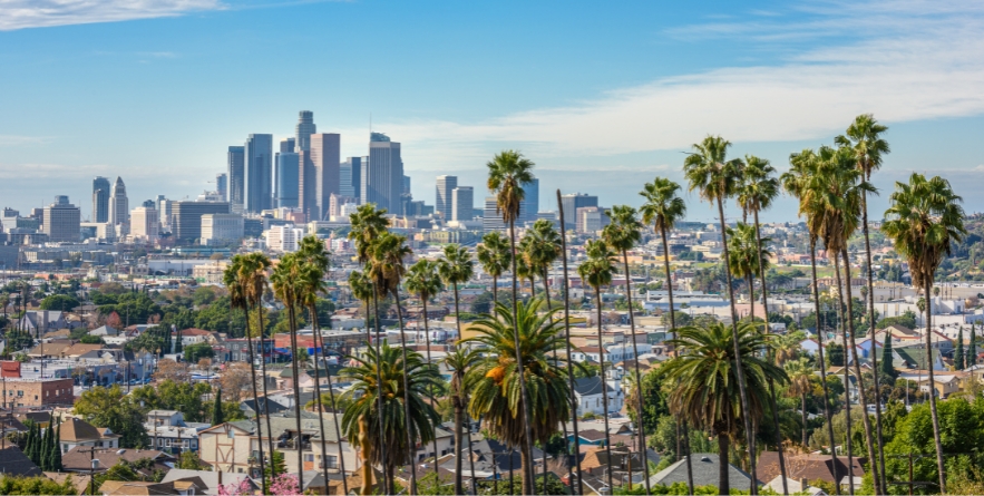 Cloudy day of Los Angeles downtown skyline and palm trees in foreground