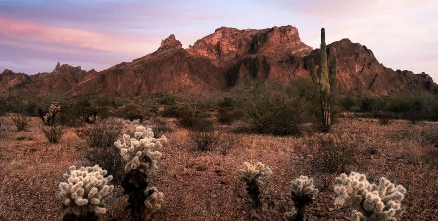 Kofa National Wildlife Refuge