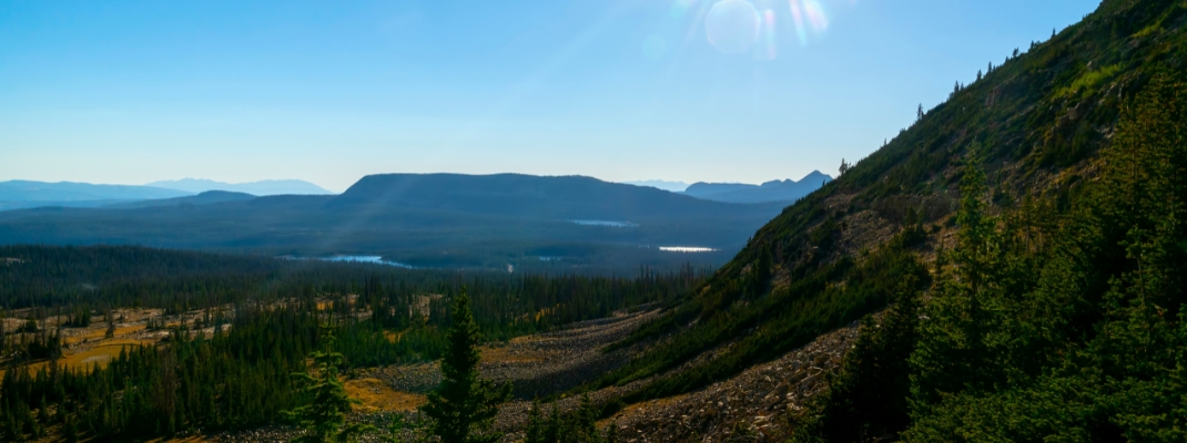 view of the wild Uinta Wasatch Cache National Forest from the Bald Mountain hike