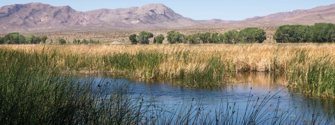 Pahranagat National Wildlife Refuge