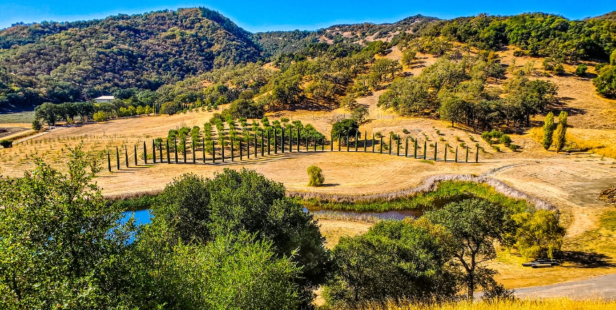 Wine Country Scenery in Mendocino County of