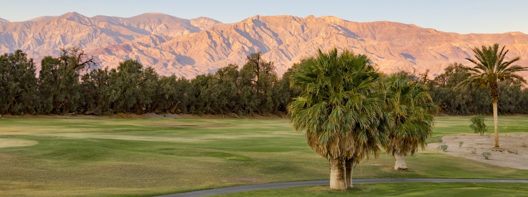 Palm trees at sunset in Furnace Creek Death Valley
