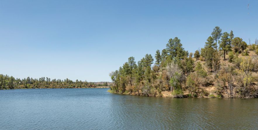 Prescott National Forest