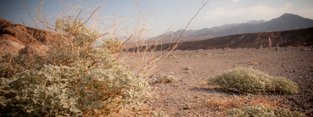 Shoshone's county, very hot day in Death Valley