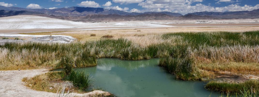 Tecopa Hot Springs Campground