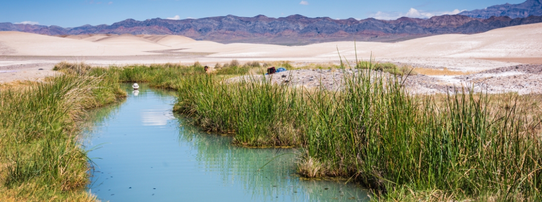 Tecopa Hot Springs