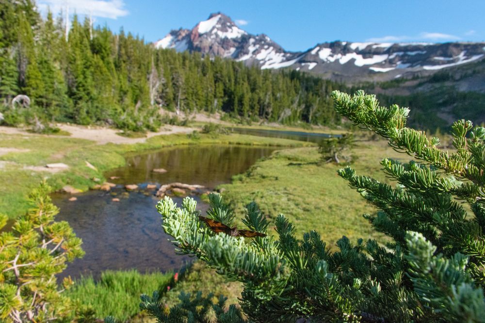 Free Camping Oregon